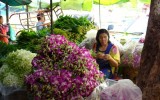 Rynek kwiatowy